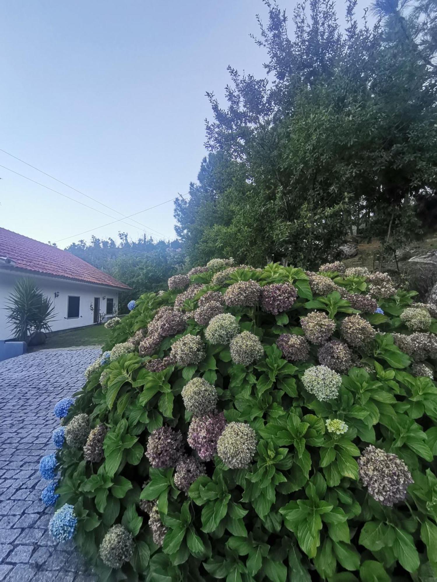 Quinta Souto Da Ordem - House Villa Castelo Novo Eksteriør billede